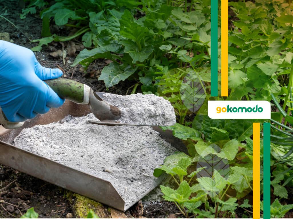 Efek Samping Dolomit