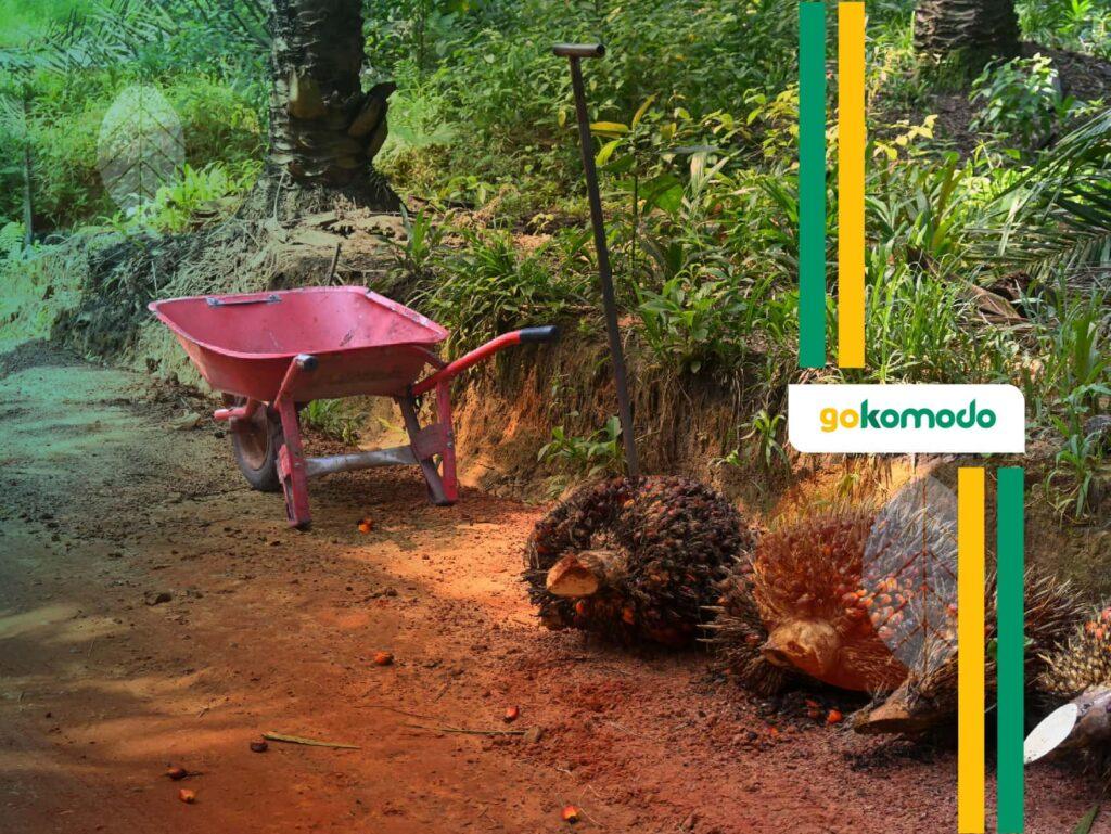 Produk Gokomodo