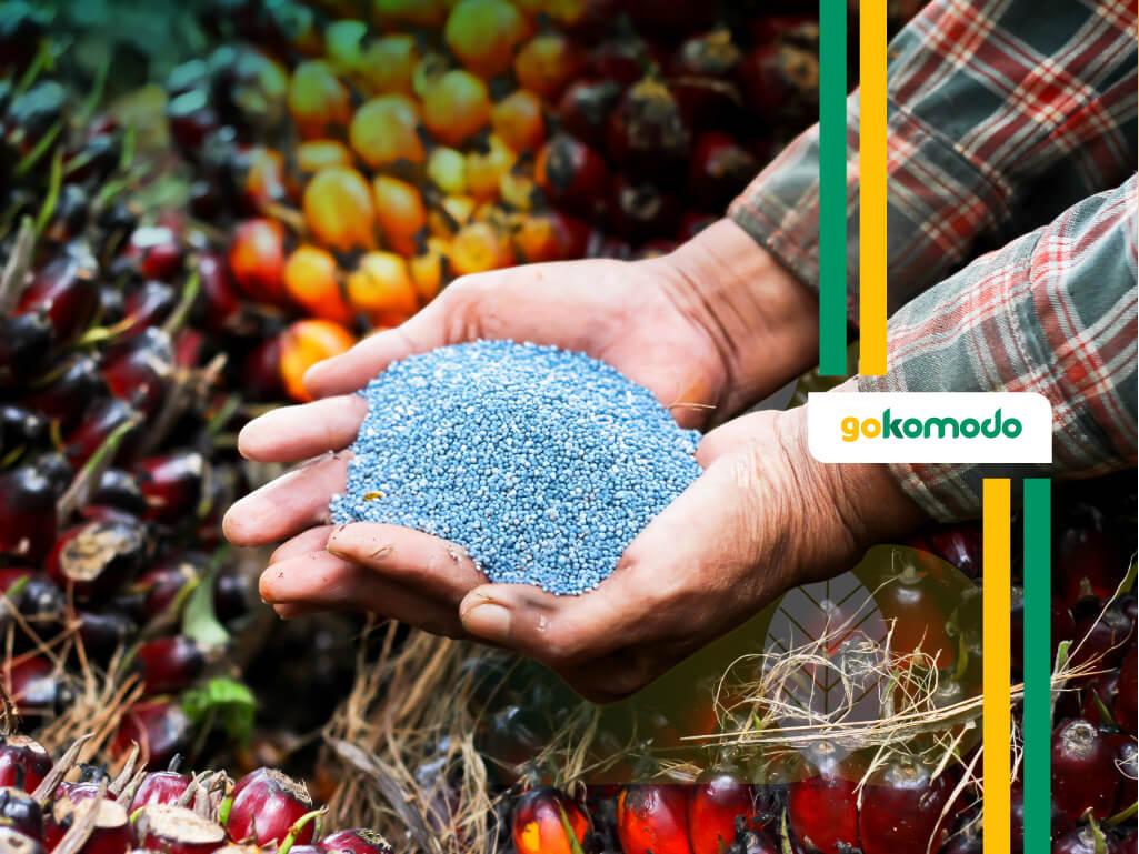 Pemupukan Kelapa Sawit