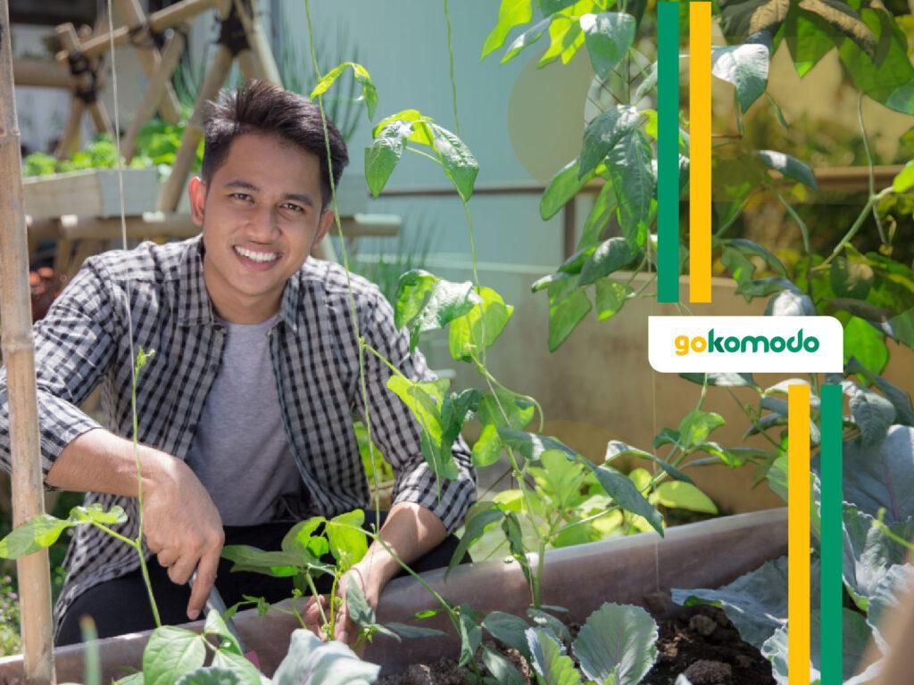 Investasi Agribisnis