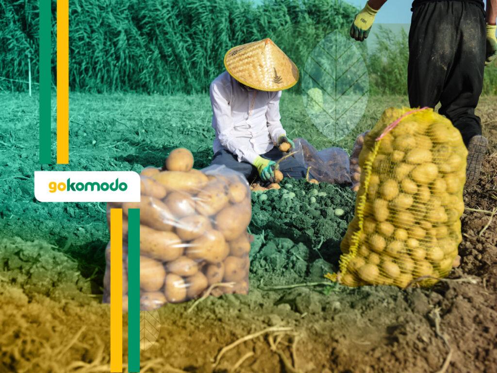 Diversifikasi Pangan Non-Beras