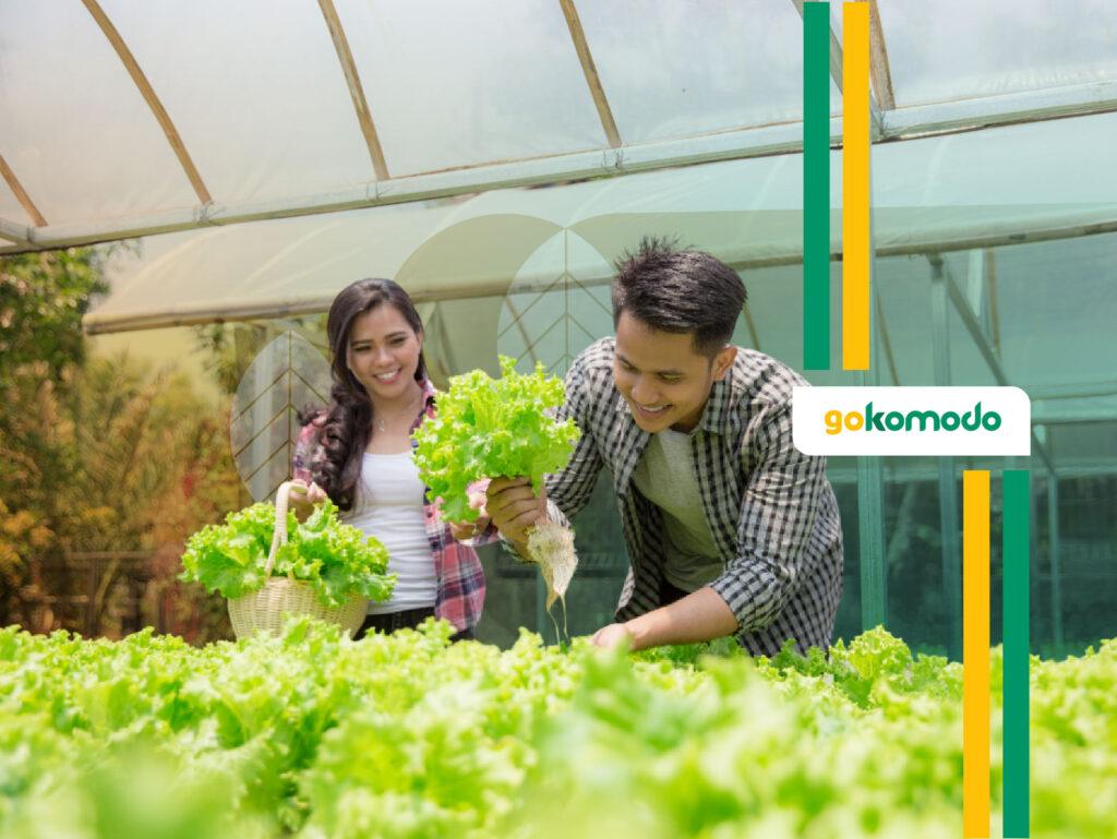 Tren Pertanian Modern Indonesia