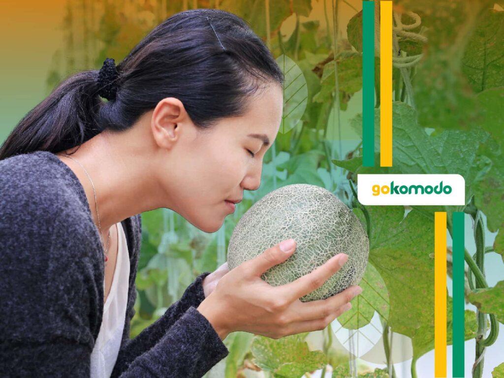 Manfaat Melon Untuk Kesehatan