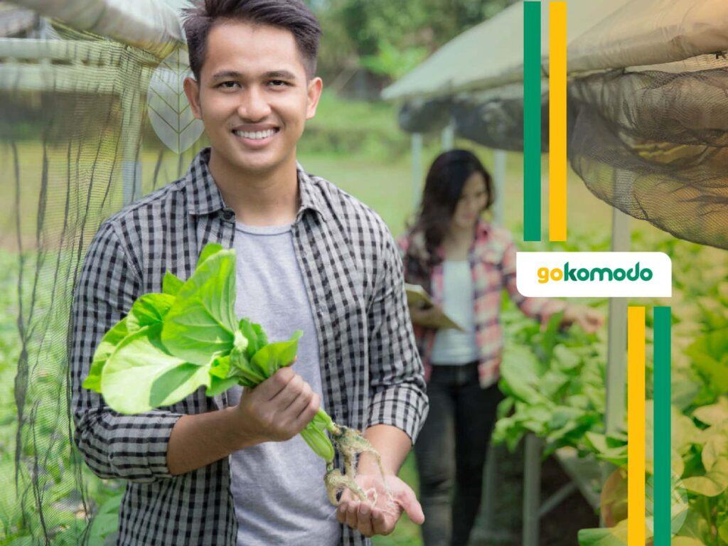 Nutrisi Foliar Sayuran