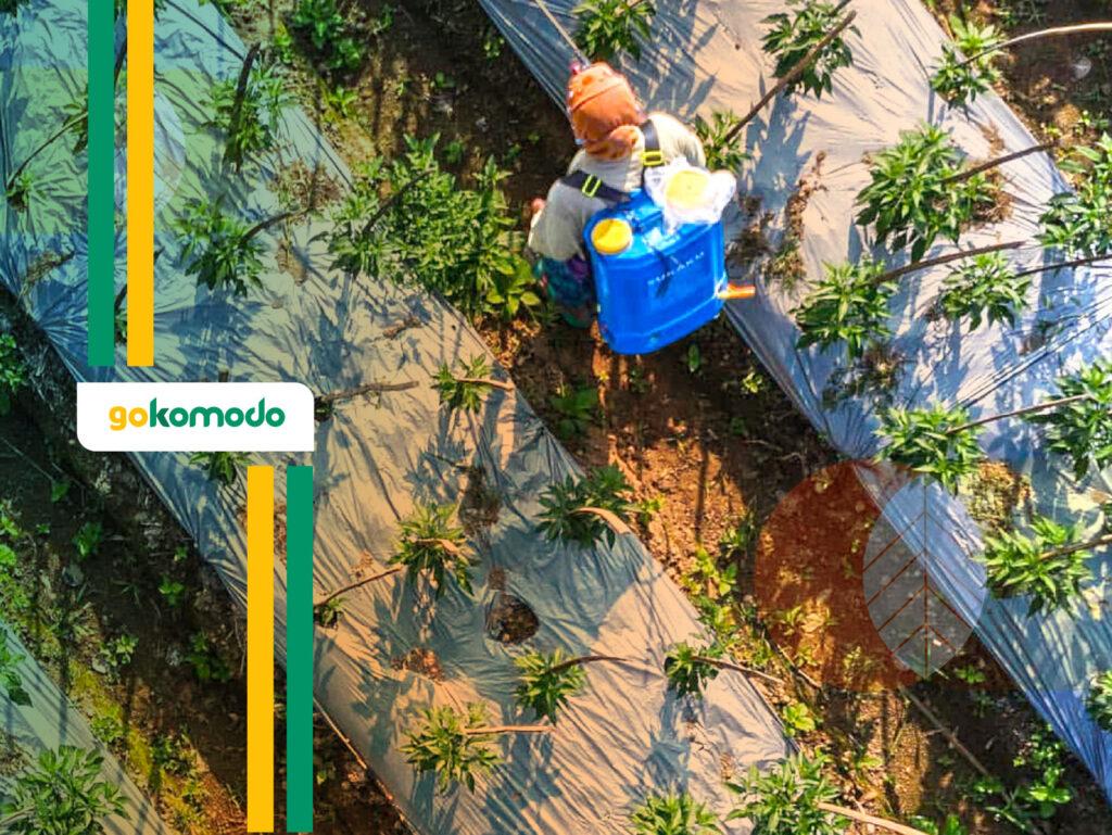 Cara Meningkatkan Produktivitas Lahan