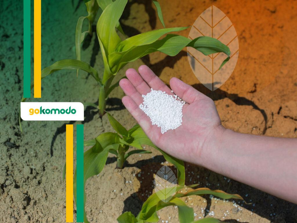 Bagaimana Pupuk Anorganik