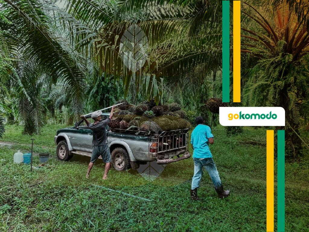 Pertanian Monokultur