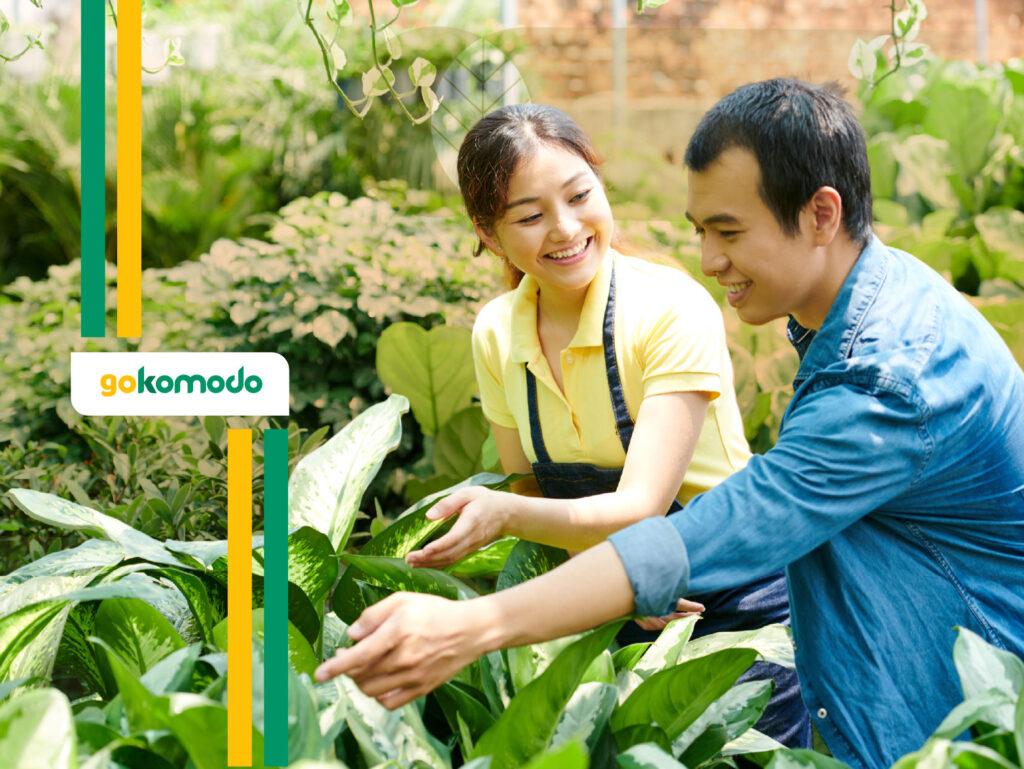 Rekomendasi Pupuk Hortikultura